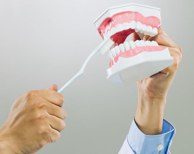  Dr. Mink, in black scrubs is pointing to an X-ray image displayed on a monitor. The X-ray shows a detailed view of a patient's teeth and jaw. The dentist is explaining something to a patient.
